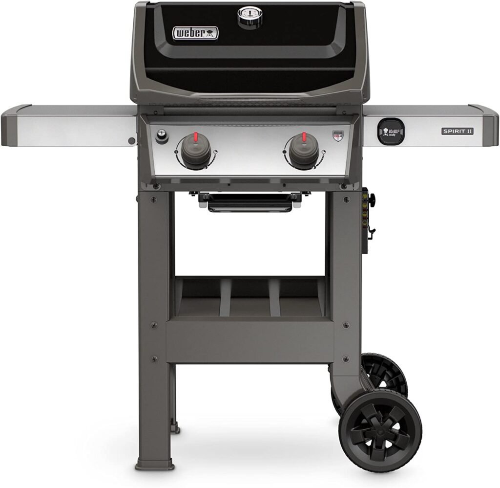 The Best Gas Grills for your home